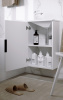 acc0104w_4.jpg