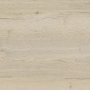 00_00004200cf_5.jpg