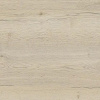 00_00009321cf_5.jpg
