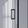 black-handle