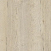 00_00008475cf_5.jpg
