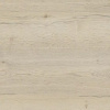 00_00006653cf_5.jpg